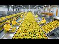 Inside a Modern Starfruit Factory: The Complete Starfruit Syrup Production Process