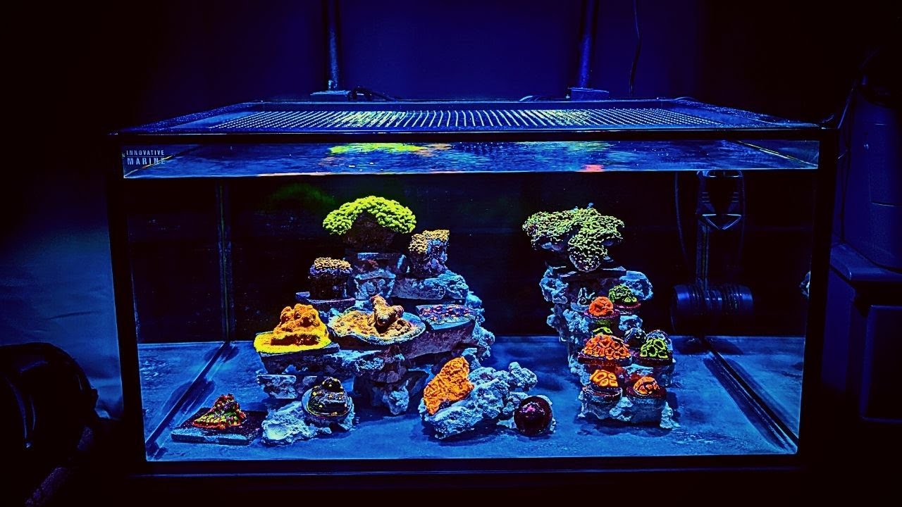 Nano Reef Tank Build (No Skimmer) - Equipment and Aquascape [Nuvo