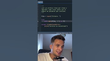 Lee un Archivo Línea por Línea e Imprime el Número de Palabras en Python 📄🔢🐍