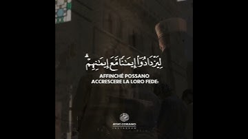 Il Sacro Corano | القارئ عبد الرحمن مسعود | سورة الفتح