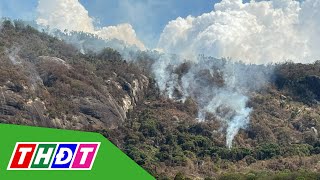 An Giang: Thêm nhiều điểm cháy trên núi Cô Tô | THDT
