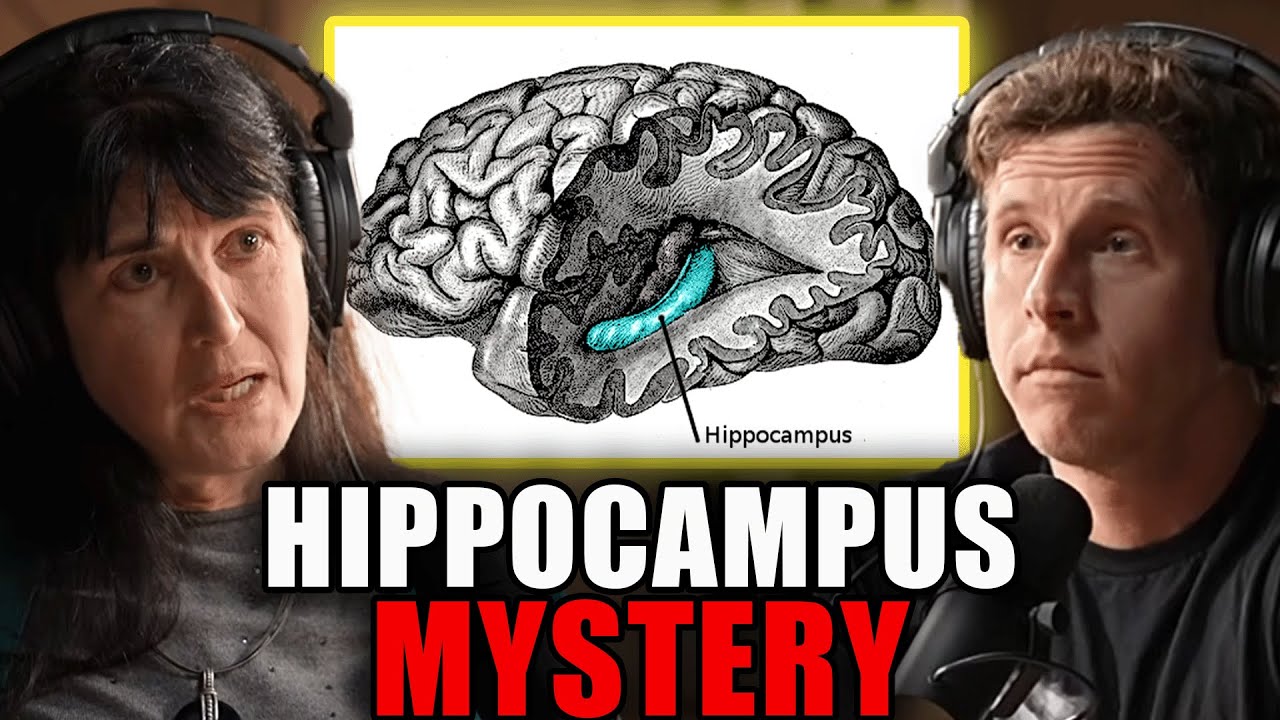 "Your Brain Doesn't Store Memories - It Downloads Them!" | Dr. Diane Hennacy