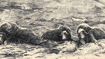 J.S Bach - Air On A G String