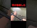 【バスロッドには重すぎた】シーバス釣り