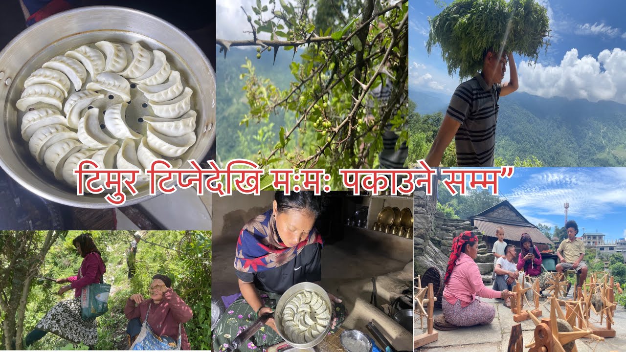 टिमुर टिप्नेदेखि मःमः पकाउने सम्म ॥ Bhujung village ॥ lamjung bhujung ॥Mayavlog ॥ villages