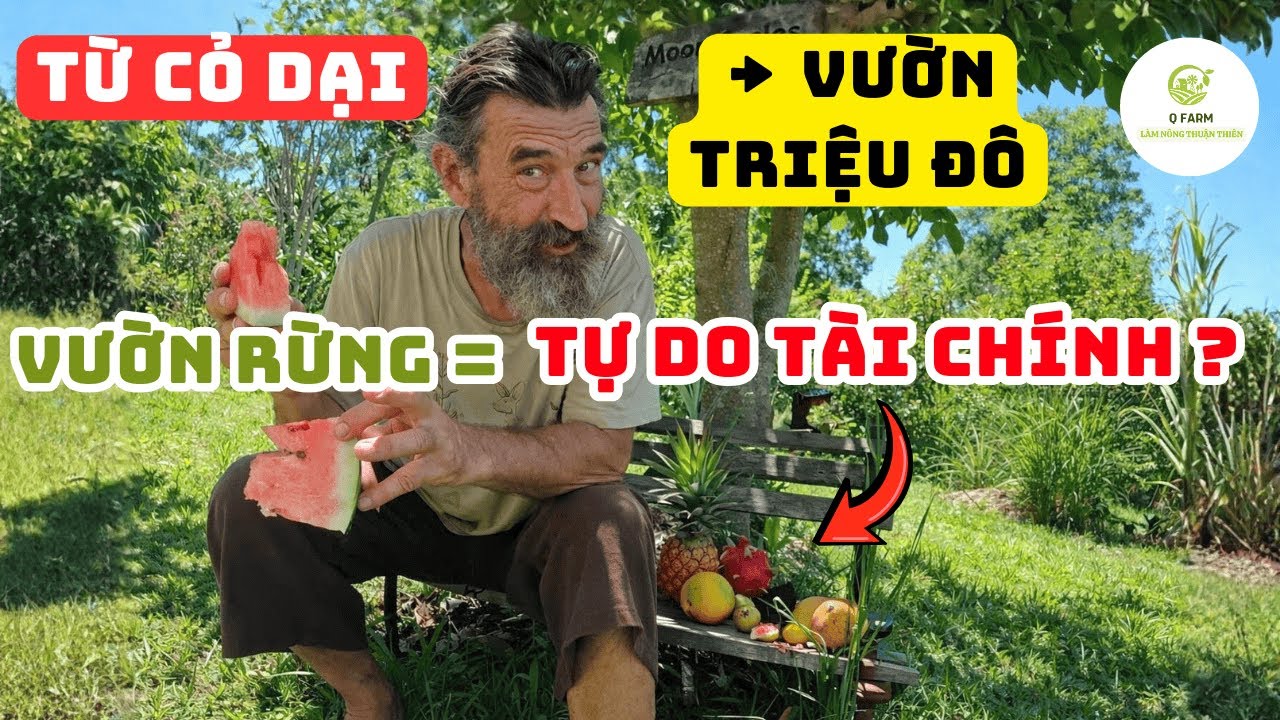 Từ Đồi Cỏ Dại Thành Vườn Rừng Trù Phú – Hành Trình Sống Thuận Tự Nhiên