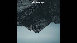 The Strange - Shoot the Bear