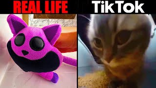 The Best TikTok of CatNap 2024 | Poppy PlayTime 3 by AlphaBAD Animation 351,245 views 1 month ago 10 minutes, 7 seconds