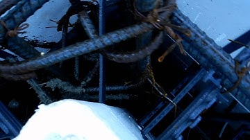 Fox Blocks Crew pour Insulated Concrete Forms.mov