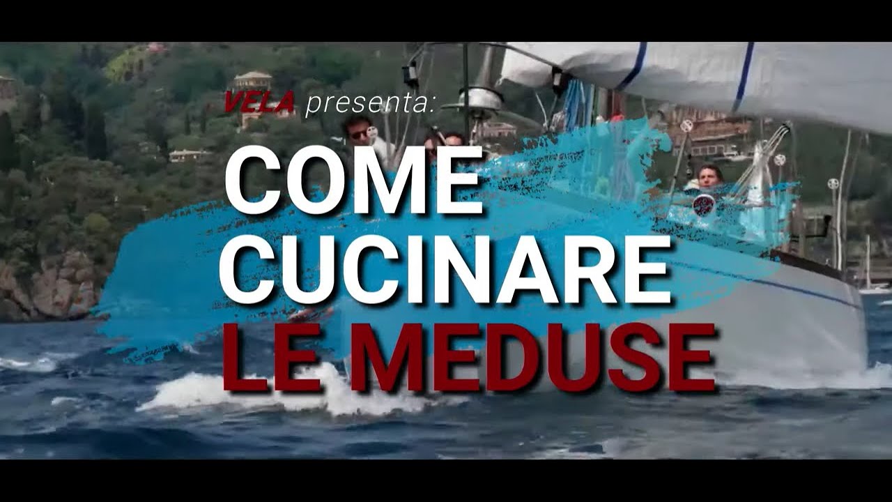 ⁣Come cucinare le meduse in barca