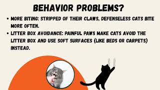 Why You Should NEVER Declaw Your Cat 🐾❌