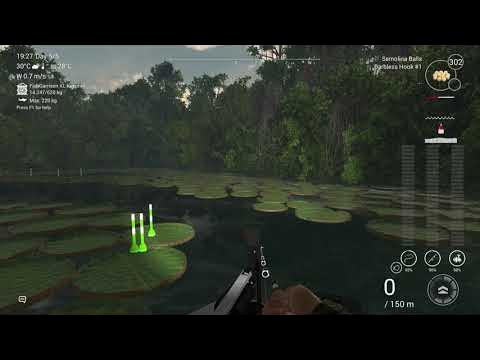 Fishing Planet Amazonian Maze Unique Oscar Astronotus Ocellatus - YouTube