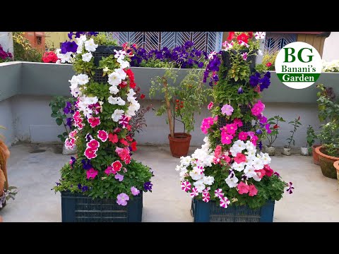 Petunia Vertical Flower Tower | Petunia Tower | Low Cost | Easy to make | DIY Project | Full Update