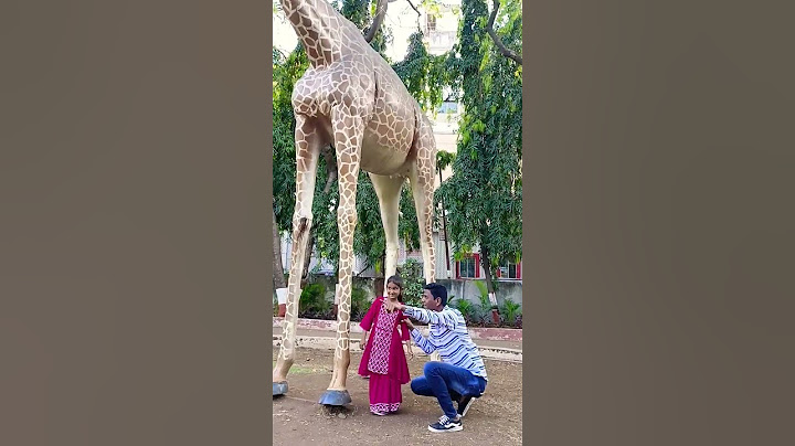 daddy मुझे🦒 जिराफ पर बैठना है 😃😃🤣#shorts