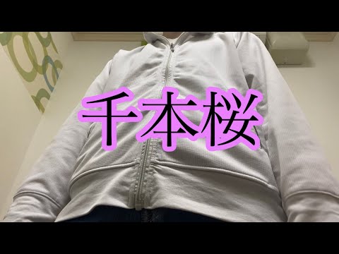 【歌ってみた】千本桜/黒うさP feat.初音ミク