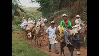 RECORRIDOS CON JAIR, ARRIERÍA CAMPESINA ABEJORRAL   SONSÓN