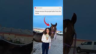 Dobby is FREE 🐎🏃‍♀️ #meme #photoshop #photoediting #funny
