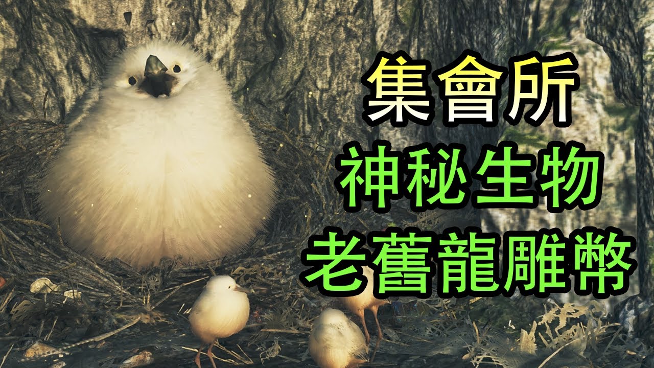 【MH Wilds】集會所神秘生物/老舊龍雕幣/鬥技大會！