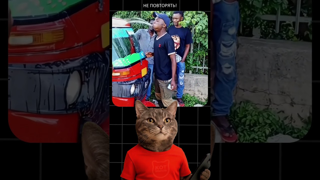 Они МОГУТ ВЫПИТЬ До 5 Литров ВОДЫ! 