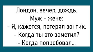 💎Муж Возвращается С Охоты...Большой Сборник Смешных Анекдотов,Для Супер Настроения!