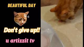 don't give up !! by U artizzit tv 45 views 3 years ago 2 minutes, 10 seconds