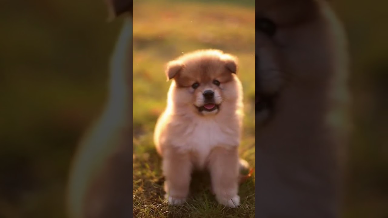 персонал 😅