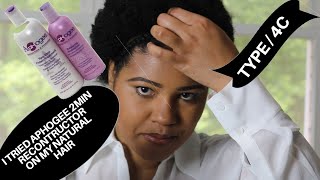 ApHogee Keratin 2 MIN Reconstructor Treatment for Dry Brittle Natural hair | 4C TEXTURE | TWA