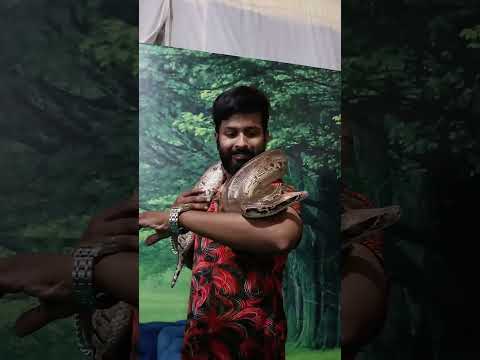 Pets Exhibition Full Video #minivlog #exhibition #anantapur #alirodham #tanveermaawa