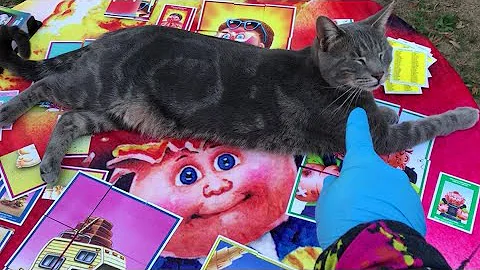 Garbage Pail Kids go on Vacation! Full Set! All 200 sticker cards GPK base set!