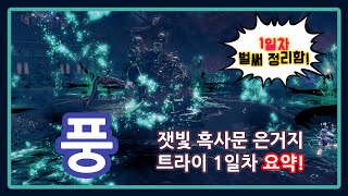 [블소] 잿빛 흑사문 은거지 독천 트라이 1일차 요약본
