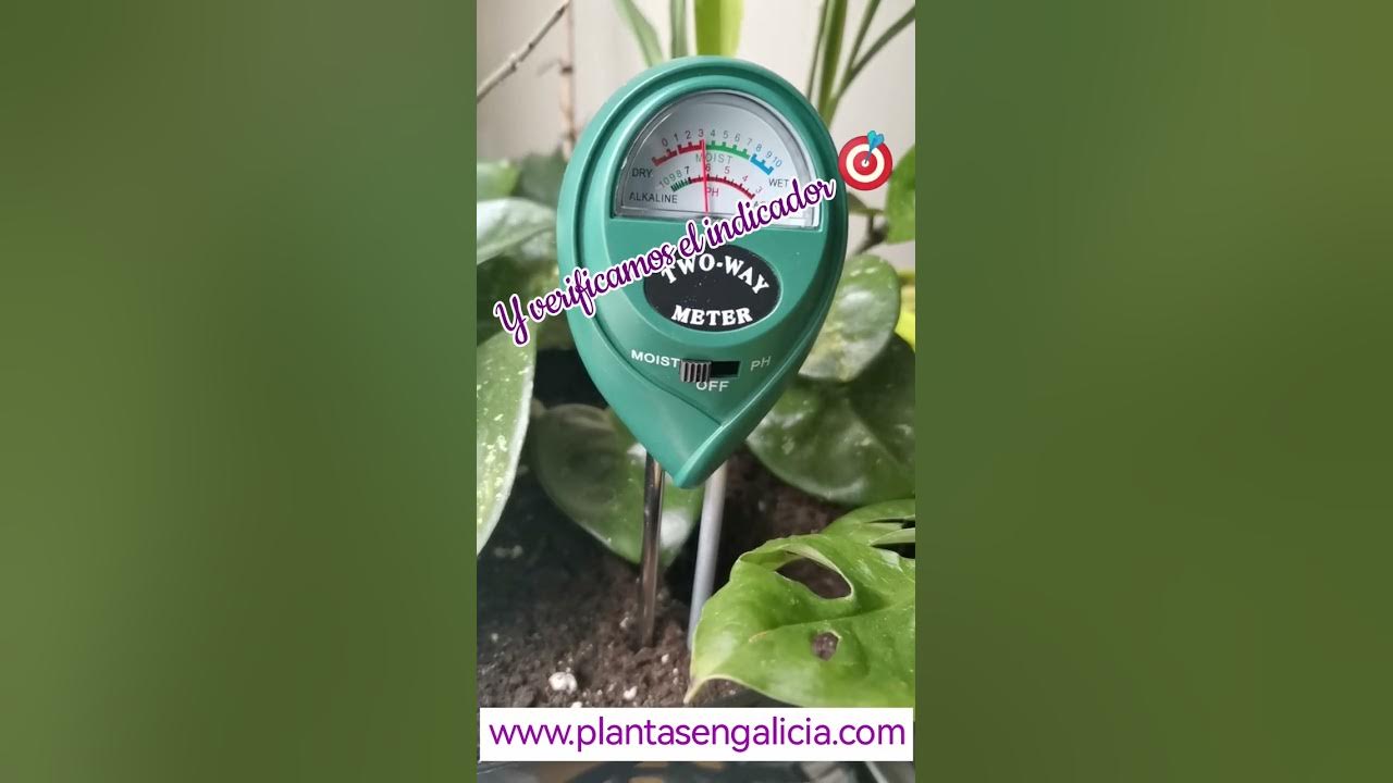 Regar las plantas y saber usar un medidor de humedad y pH. 