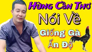 Hùng Cần Thơ - Chia Sẻ Từng Chi Tiết Về G.à Ấn Độ | Trường Hải Tv