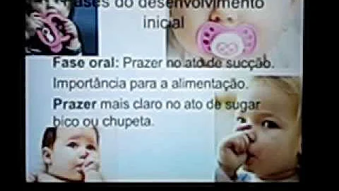 Como o psiquismo humano se desenvolve?