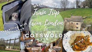 Weekend Trip from London to Cotswolds / Travelling with Chihuahua / AirBnB Cooking by Tofu Nikki 1,821 views 1 year ago 13 minutes, 37 seconds
