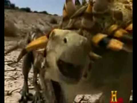 Utahraptor Vs Gastonia No More Sorrow