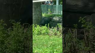 At Philly Zoo
