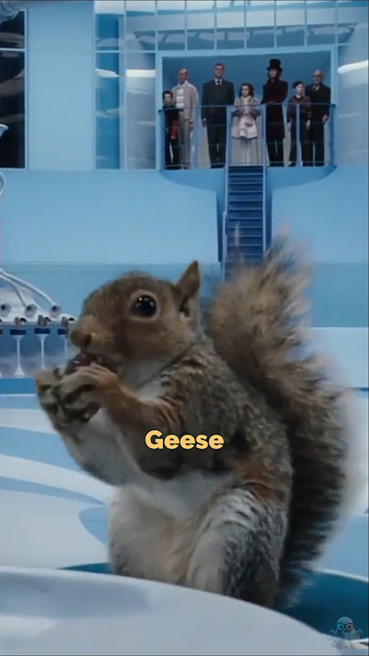 Behind the Scenes: Squirrels in Charlie and the Chocolate Factory