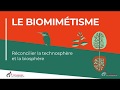 Infographie techniques de lingnieur  animation sur le biomimtisme