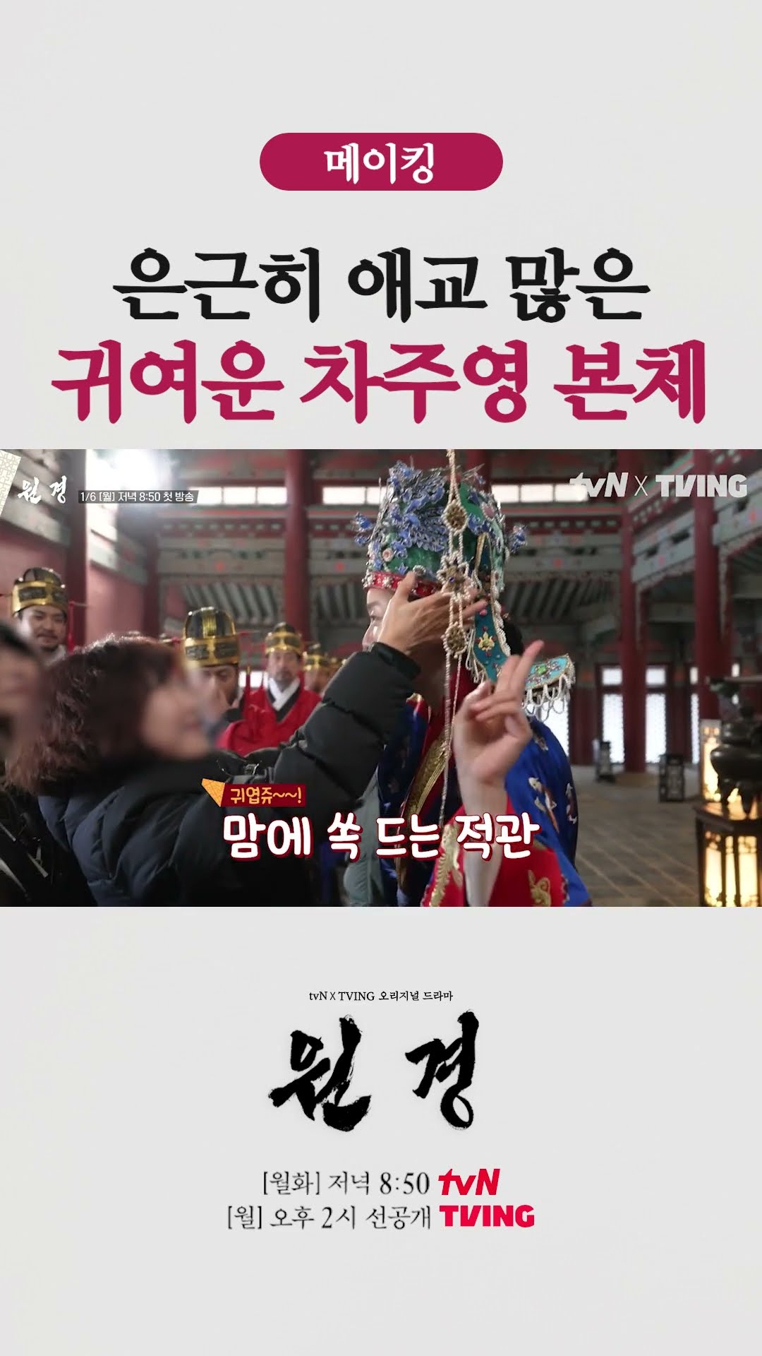 애교 가득 고양이미 넘치는 차주영? #원경
