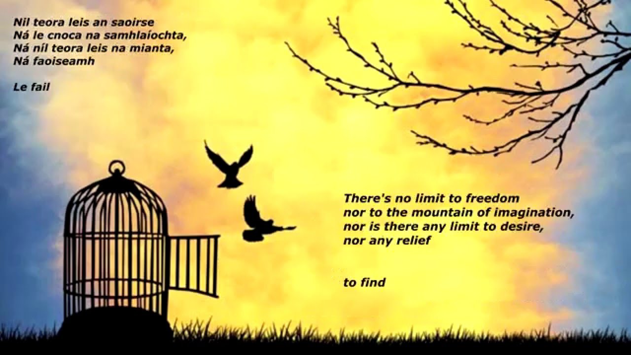 Saoirse by Seán Ó Ríordáin