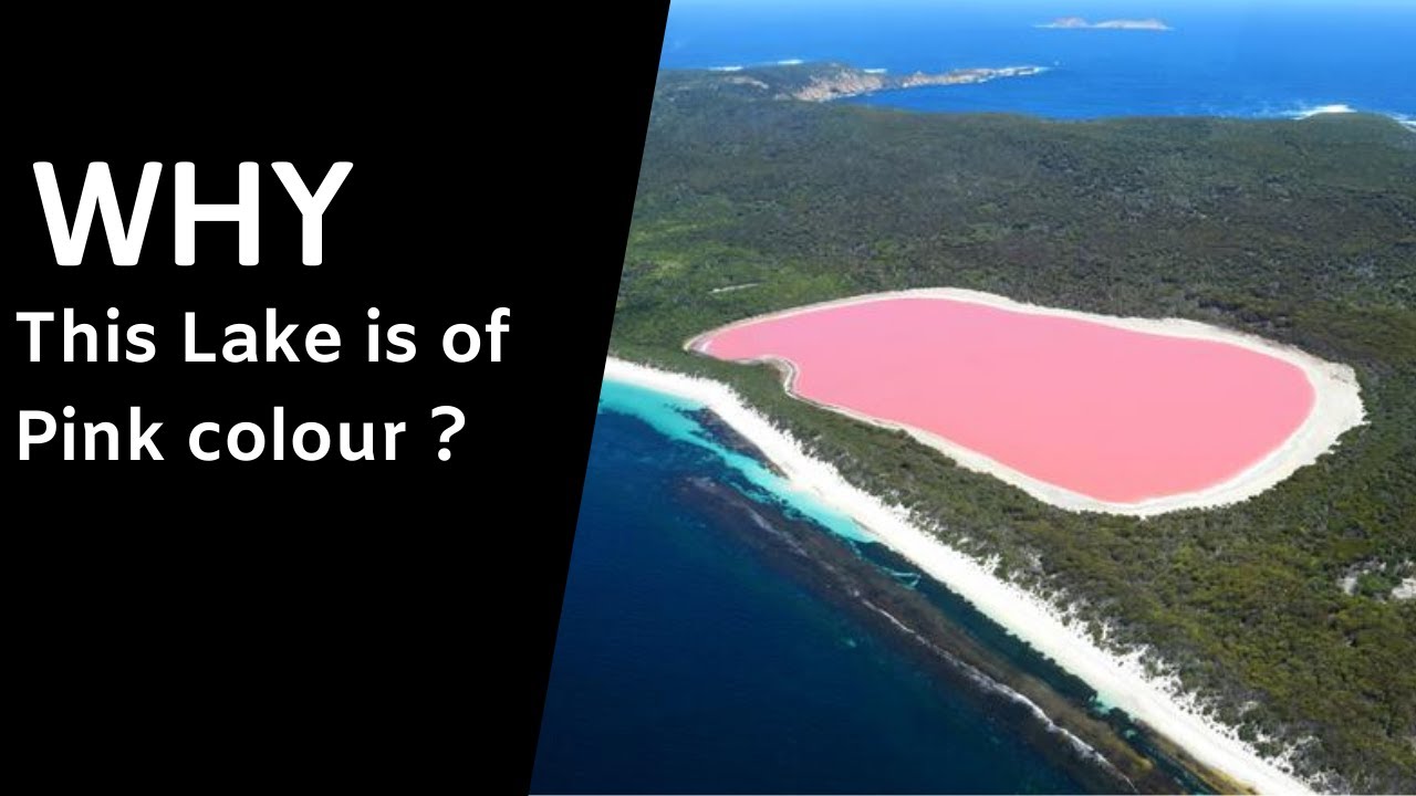 Pink Lake of australia Why this lake is of Pink colour ? Facts