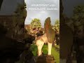 ANGKORWAT # NEWZALAND students song