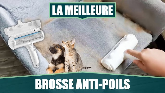 Brosse Adhésive pour Animaux Domestiques,Brosse Anti Poils Animaux Chat  Chien, Brosse Ramasse Enlève Poils,Rouleau à Poils d'animaux