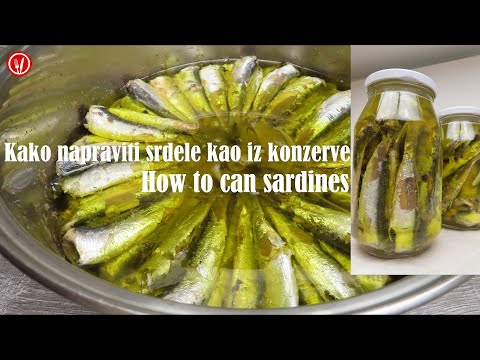Kako Napraviti Srdele kao iz Konzerve ▪️ How to Can Sardines