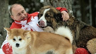 Путин ответил поговоркой Путин ответил поговоркой