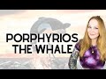 Thirsty history  porphyrios the whale