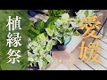 【植縁祭Vol.3】《愛媛》四国遠征イベント旅であの二人が爆買いか?
