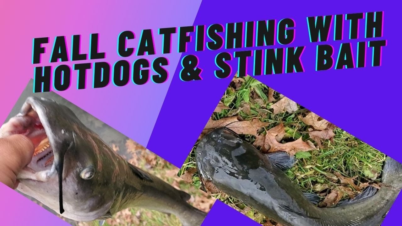 Cold Weather Catfishing Using Hotdogs and Magic Bait YouTube