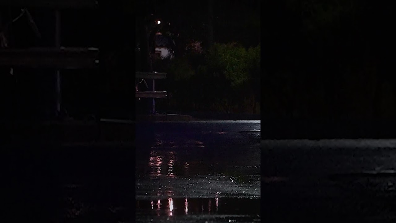 Soft Rain Sounds for Sleeping & Relaxing🪴 