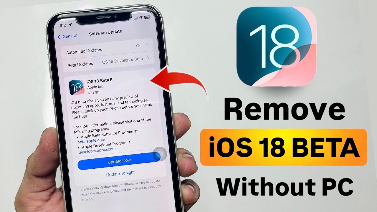 Remove iOS 18 Developer Beta Update from your iPhone without Computer ...